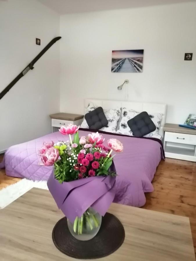 Apartment Patrick Harrachov Εξωτερικό φωτογραφία